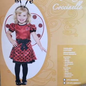 Ladybug costume